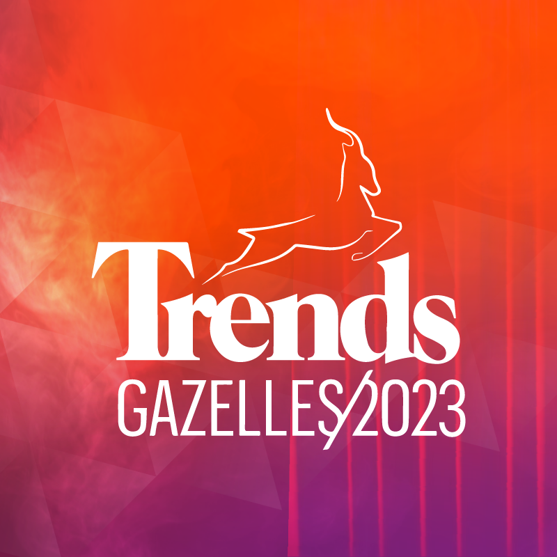 Trends Gazelles image mise en avant